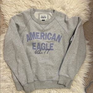 American Eagle Outfitters Light Gray Crewneck Sweater